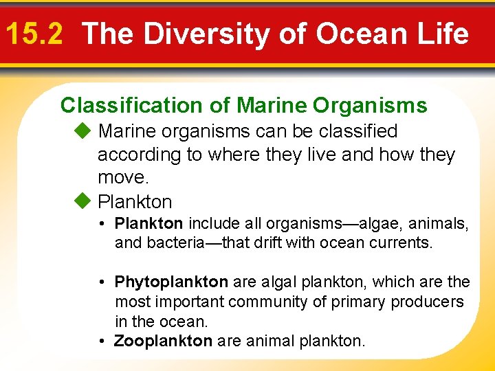 15. 2 The Diversity of Ocean Life Classification of Marine Organisms Marine organisms can