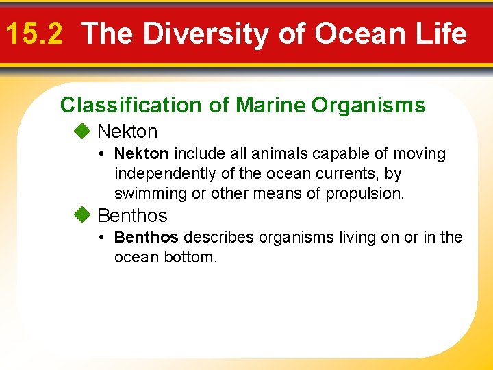 15. 2 The Diversity of Ocean Life Classification of Marine Organisms Nekton • Nekton