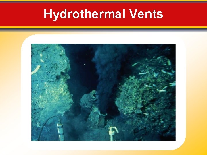 Hydrothermal Vents 