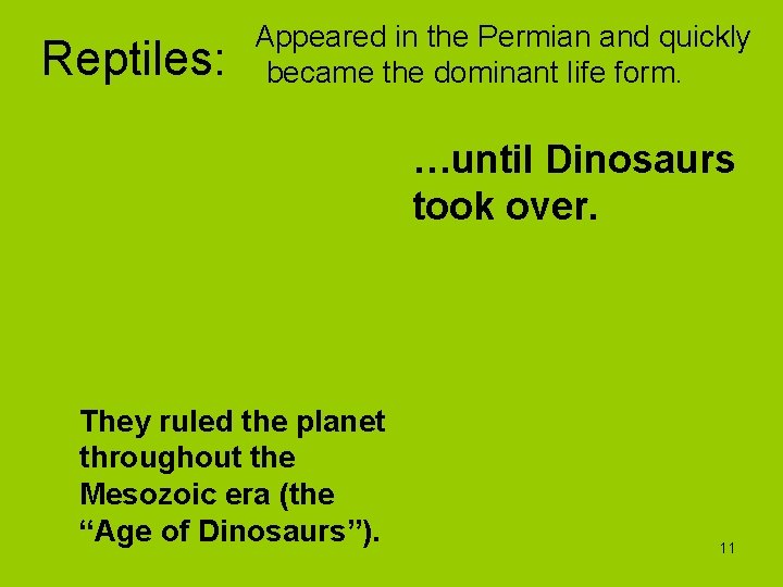 Reptiles: Appeared in the Permian and quickly became the dominant life form. …until Dinosaurs