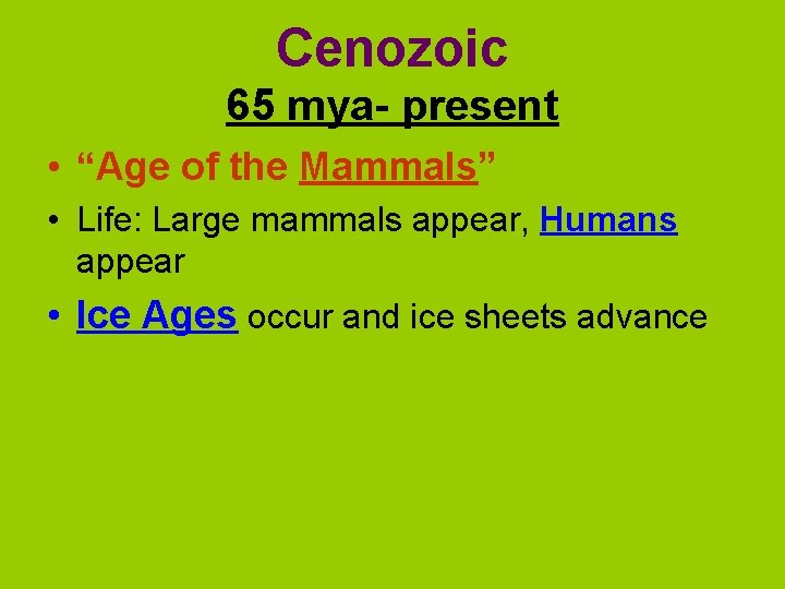 Cenozoic 65 mya- present • “Age of the Mammals” • Life: Large mammals appear,