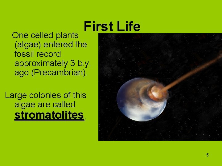 First Life One celled plants (algae) entered the fossil record approximately 3 b. y.