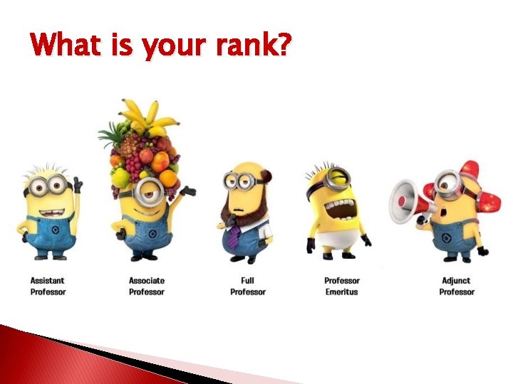 What is your rank? 