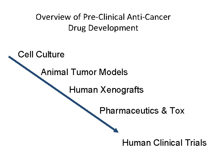 Overview of Pre-Clinical Anti-Cancer Drug Development Cell Culture Animal Tumor Models Human Xenografts Pharmaceutics