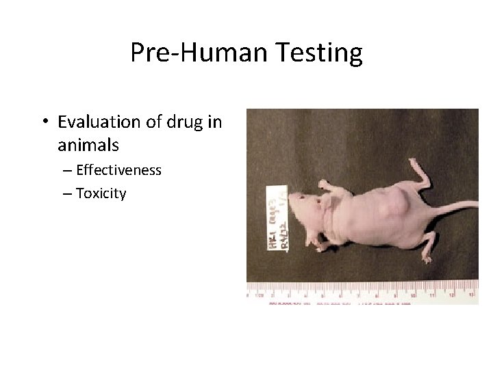 Pre-Human Testing • Evaluation of drug in animals – Effectiveness – Toxicity 