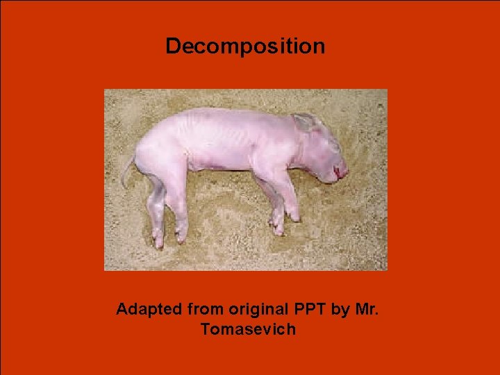 Decomposition Adapted from original PPT by Mr. Tomasevich 