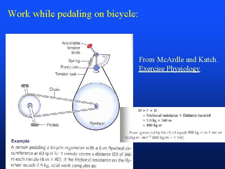 Work while pedaling on bicycle: From Mc. Ardle and Katch. Exercise Physiology 