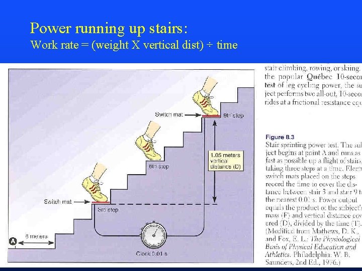 Power running up stairs: Work rate = (weight X vertical dist) ÷ time 