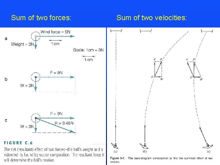 Sum of two forces: Sum of two velocities: 