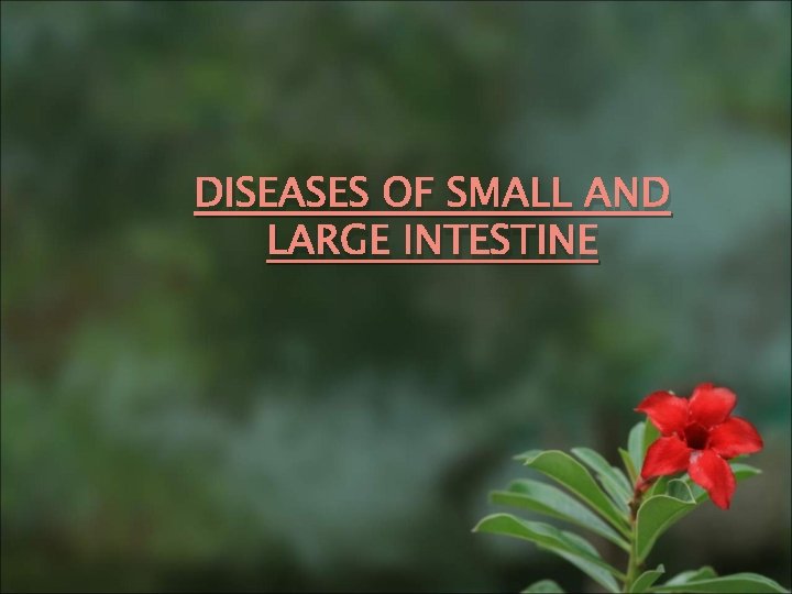 DISEASES OF SMALL AND LARGE INTESTINE 