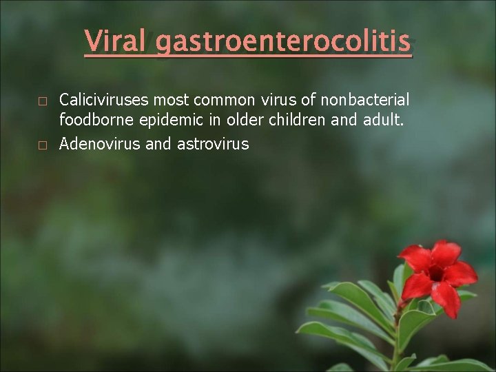 Viral gastroenterocolitis � � Caliciviruses most common virus of nonbacterial foodborne epidemic in older