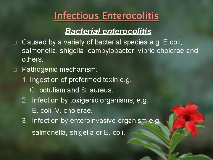 Infectious Enterocolitis Bacterial enterocolitis � � Caused by a variety of bacterial species e.