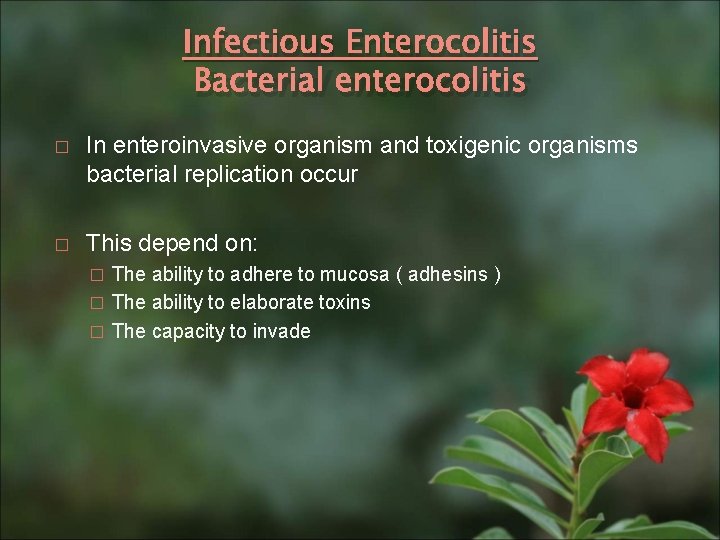 Infectious Enterocolitis Bacterial enterocolitis � In enteroinvasive organism and toxigenic organisms bacterial replication occur