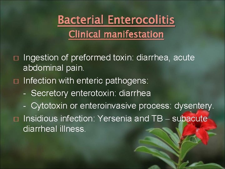 Bacterial Enterocolitis Clinical manifestation � � � Ingestion of preformed toxin: diarrhea, acute abdominal