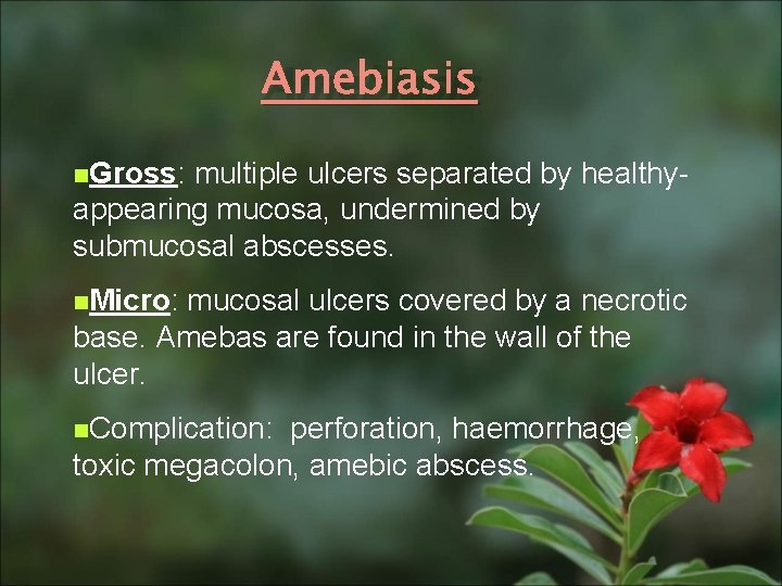 Amebiasis n. Gross: multiple ulcers separated by healthyappearing mucosa, undermined by submucosal abscesses. n.