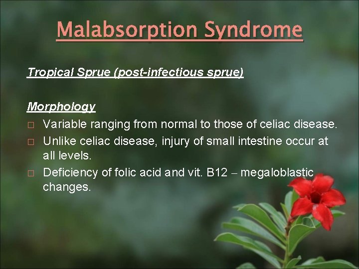 Malabsorption Syndrome Tropical Sprue (post-infectious sprue) Morphology � Variable ranging from normal to those