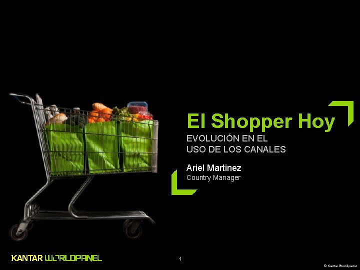 El Shopper Hoy EVOLUCIÓN EN EL USO DE LOS CANALES Ariel Martinez Country Manager