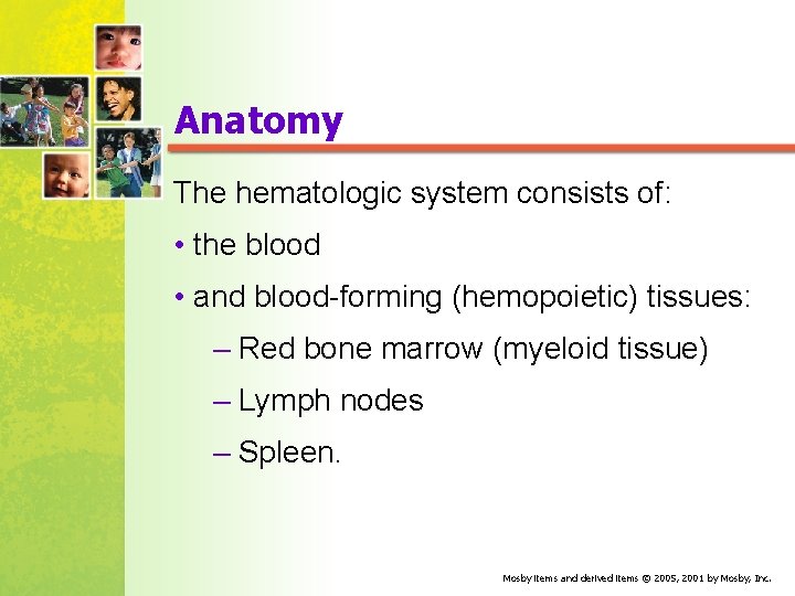 Anatomy The hematologic system consists of: • the blood • and blood forming (hemopoietic)