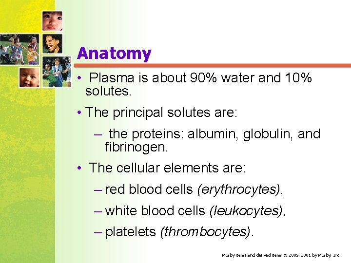 Anatomy • Plasma is about 90% water and 10% solutes. • The principal solutes