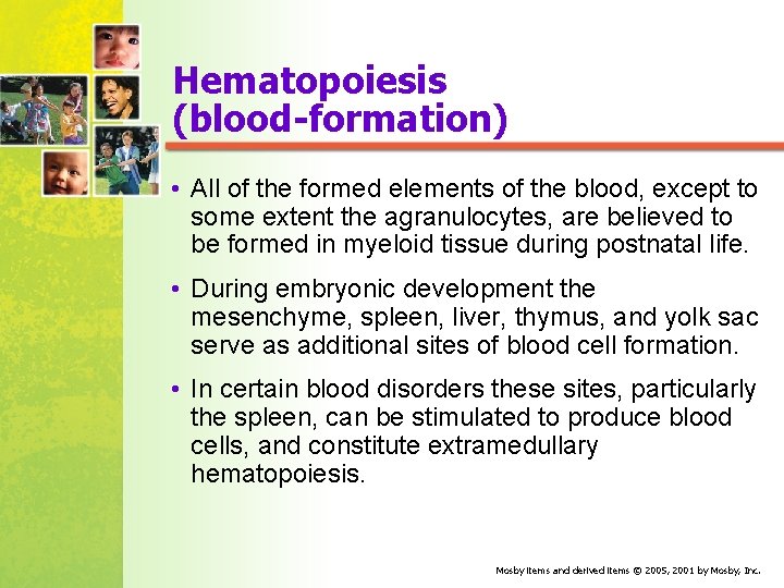 Hematopoiesis (blood-formation) • All of the formed elements of the blood, except to some