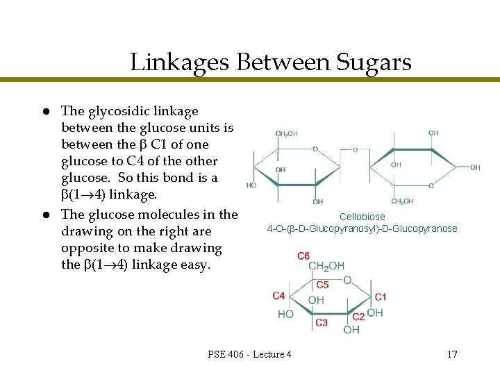 Linkages Between Sugars l l The glycosidic linkage between the glucose units is between