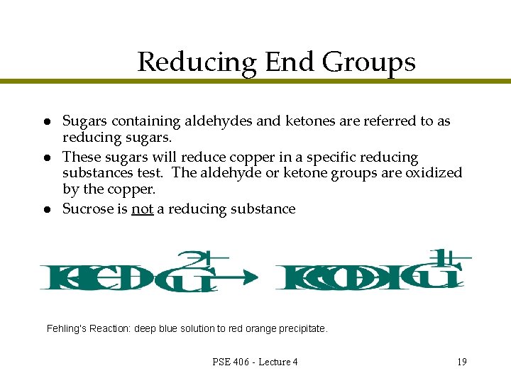 Reducing End Groups l l l Sugars containing aldehydes and ketones are referred to