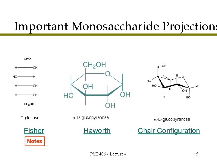 Important Monosaccharide Projections D-glucose Fisher α-D-glucopyranose Haworth α-D-glucopyranose Chair Configuration Notes PSE 406 -