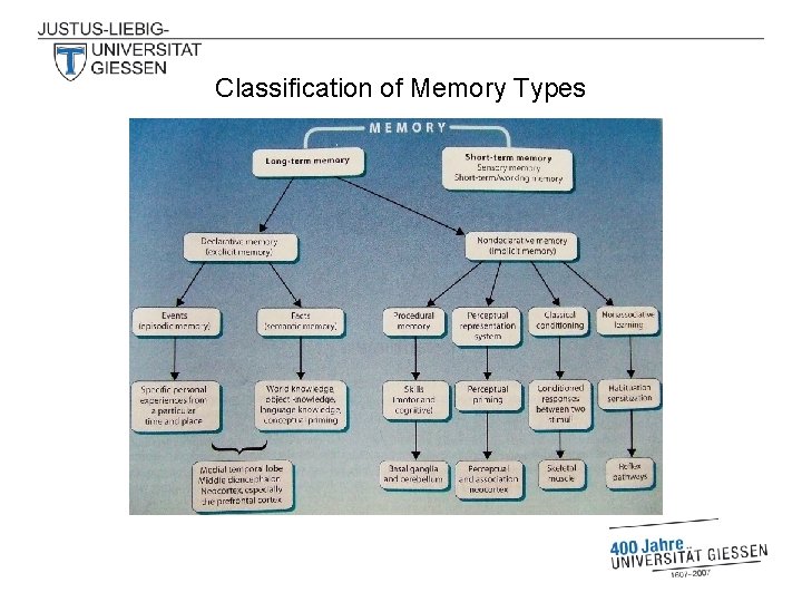 Classification of Memory Types 