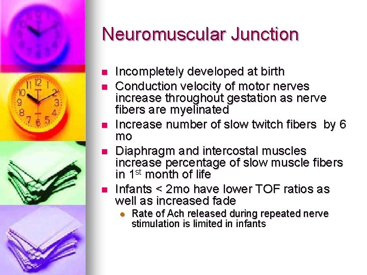 Neuromuscular Junction n n Incompletely developed at birth Conduction velocity of motor nerves increase