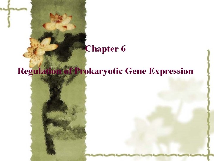 Chapter 6 Regulation of Prokaryotic Gene Expression 