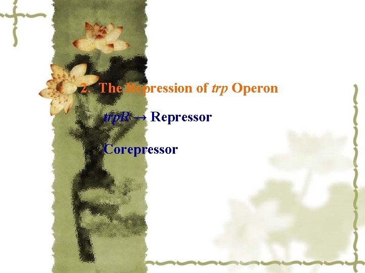 2. The Repression of trp Operon trp. R → Repressor Corepressor 