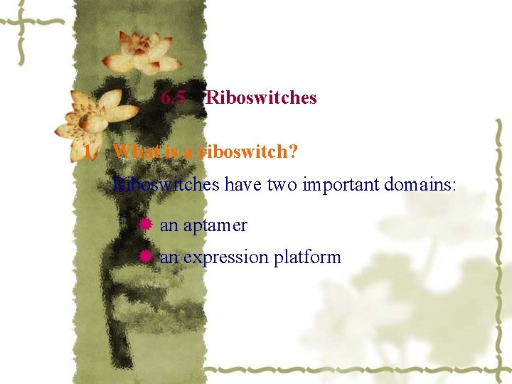 6. 5 Riboswitches 1. What is a riboswitch? Riboswitches have two important domains: an