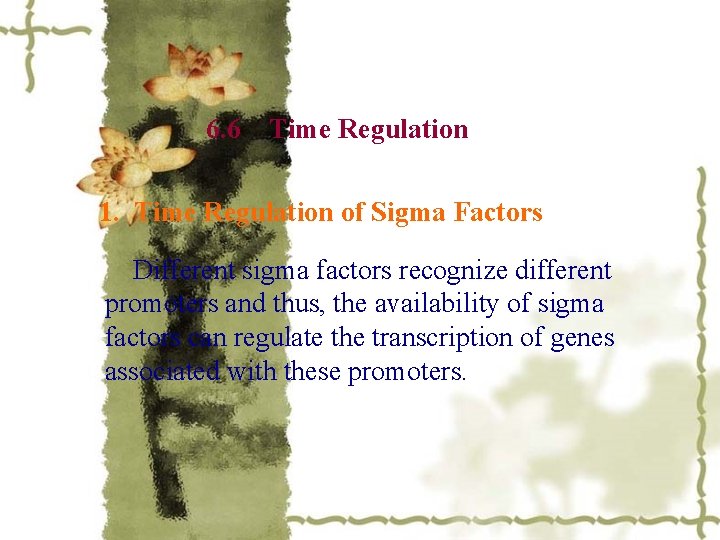 6. 6 Time Regulation 1. Time Regulation of Sigma Factors Different sigma factors recognize