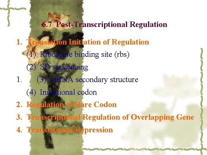 6. 7 Post-Transcriptional Regulation 1. Translation Initiation of Regulation (1) Ribosome binding site (rbs)
