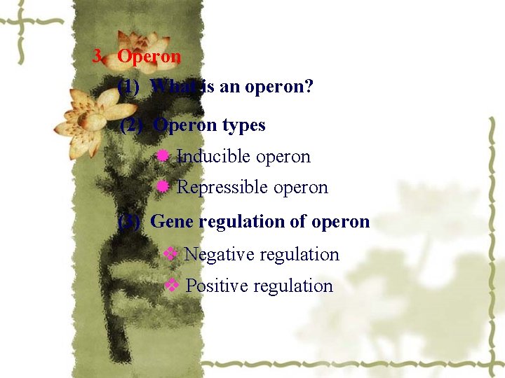 3. Operon (1) What is an operon? (2) Operon types Inducible operon Repressible operon