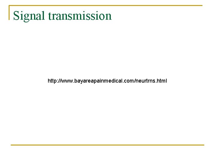 Signal transmission http: //www. bayareapainmedical. com/neurtrns. html 