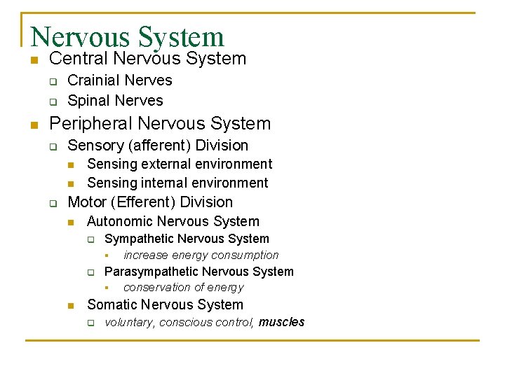 Nervous System n Central Nervous System q q n Crainial Nerves Spinal Nerves Peripheral