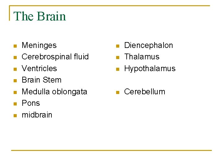 The Brain n n n Meninges Cerebrospinal fluid Ventricles Brain Stem Medulla oblongata Pons