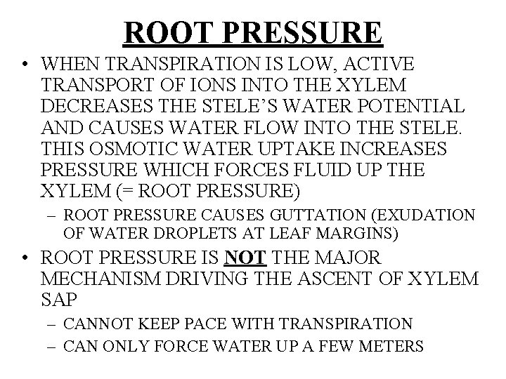 ROOT PRESSURE • WHEN TRANSPIRATION IS LOW, ACTIVE TRANSPORT OF IONS INTO THE XYLEM