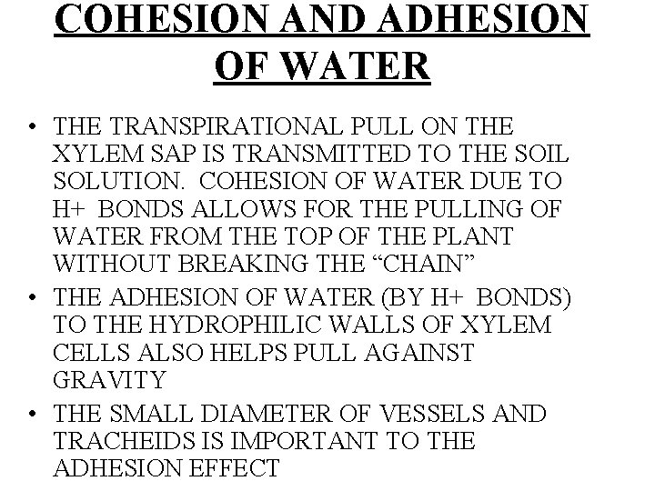 COHESION AND ADHESION OF WATER • THE TRANSPIRATIONAL PULL ON THE XYLEM SAP IS