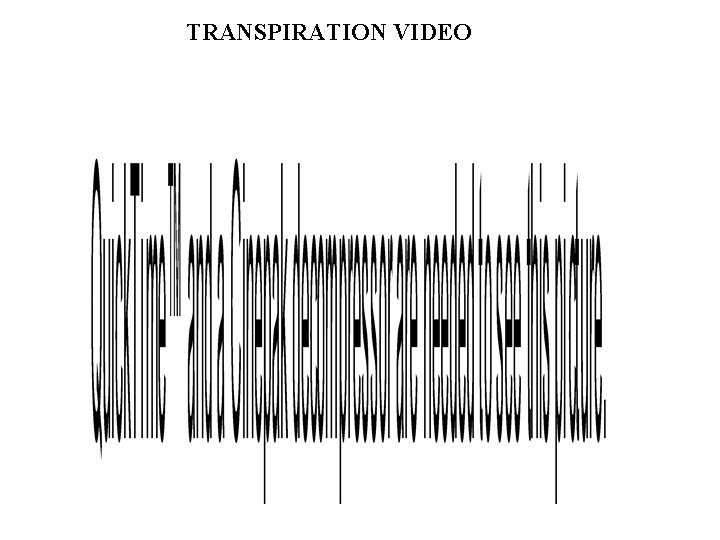 TRANSPIRATION VIDEO 