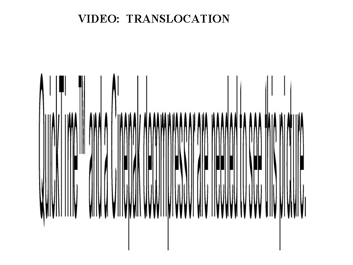 VIDEO: TRANSLOCATION 