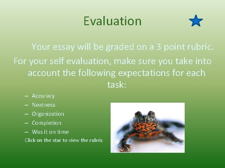 Evaluation Your essay will be graded on a 3 point rubric. For your self