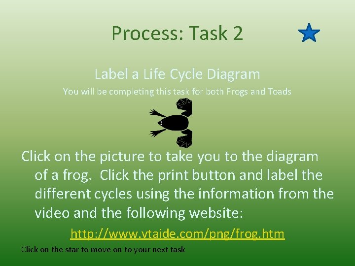 Process: Task 2 Label a Life Cycle Diagram You will be completing this task