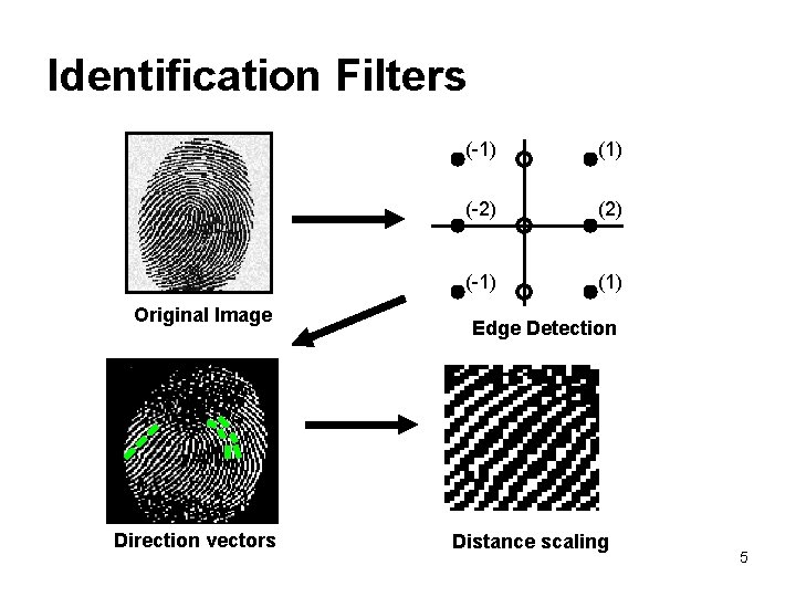 Identification Filters Original Image Direction vectors (-1) (-2) (-1) (1) Edge Detection Distance scaling