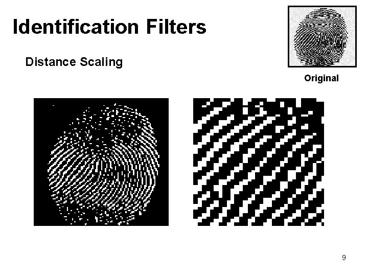 Identification Filters Distance Scaling Original 9 