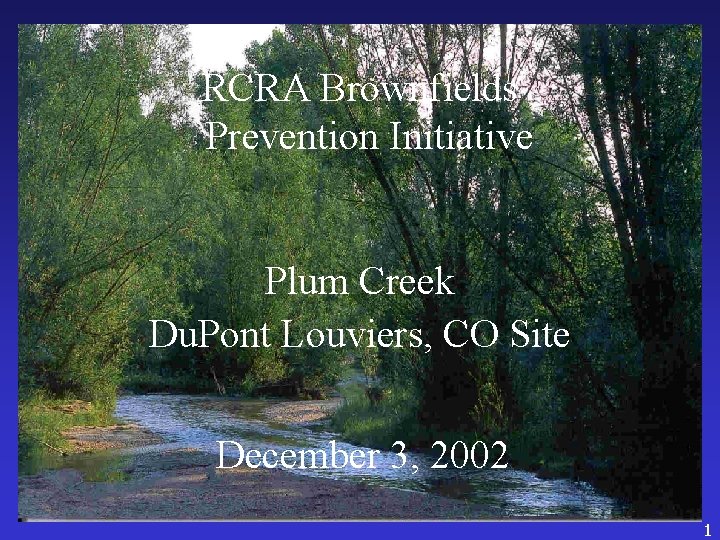 RCRA Brownfields Prevention Initiative Plum Creek Du. Pont Louviers, CO Site December 3, 2002