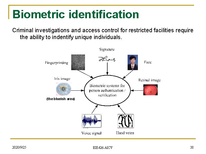 Biometric identification Criminal investigations and access control for restricted facilities require the ability to