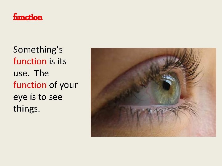 function Something’s function is its use. The function of your eye is to see