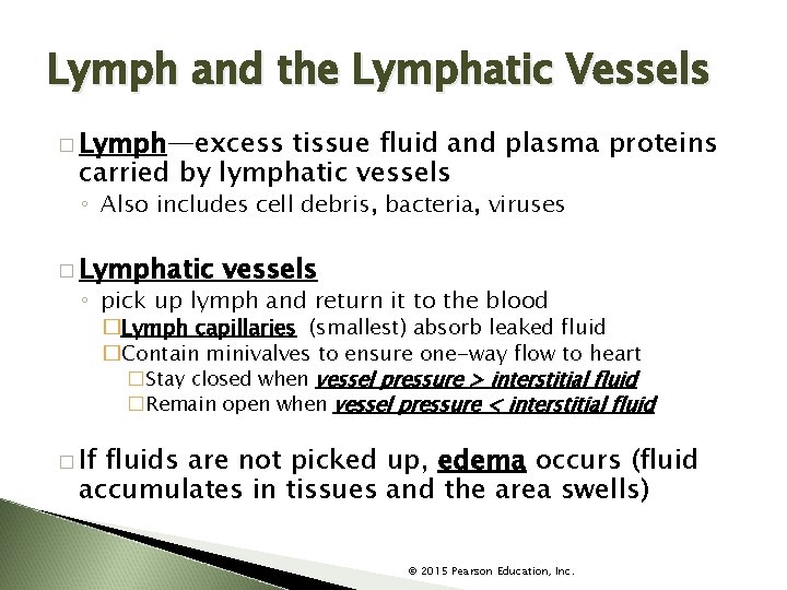 Lymph and the Lymphatic Vessels � Lymph—excess tissue fluid and plasma proteins carried by